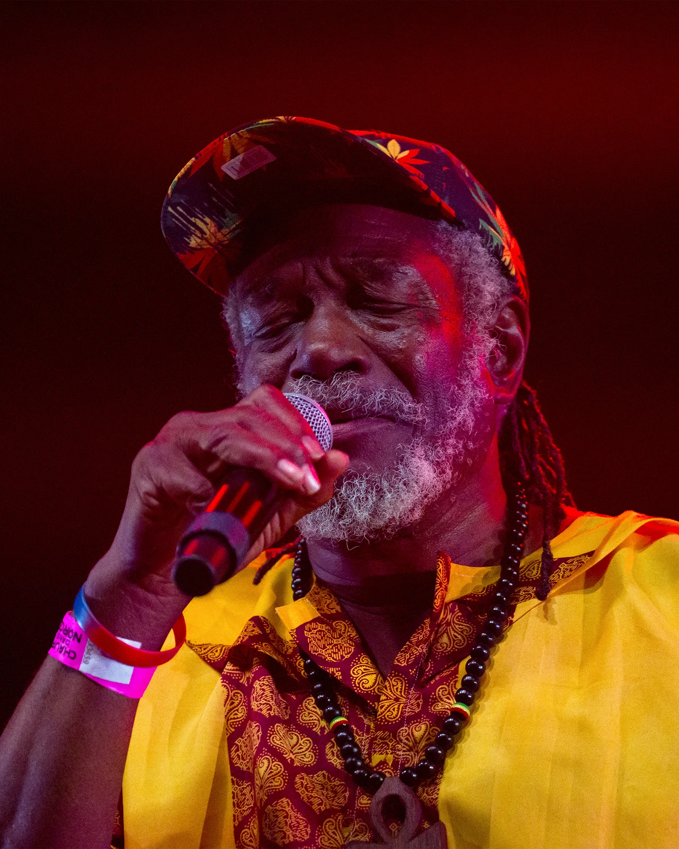 HORACE ANDY + GUEST 