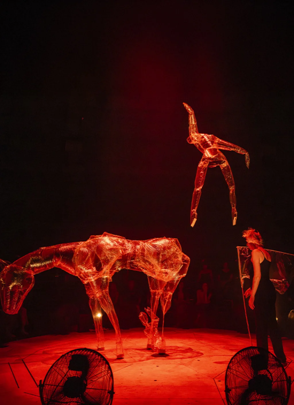 TANDEM / NOCTURNE (PARADE) COMPAGNIE NON NOVA - PHIA MÉNARD 