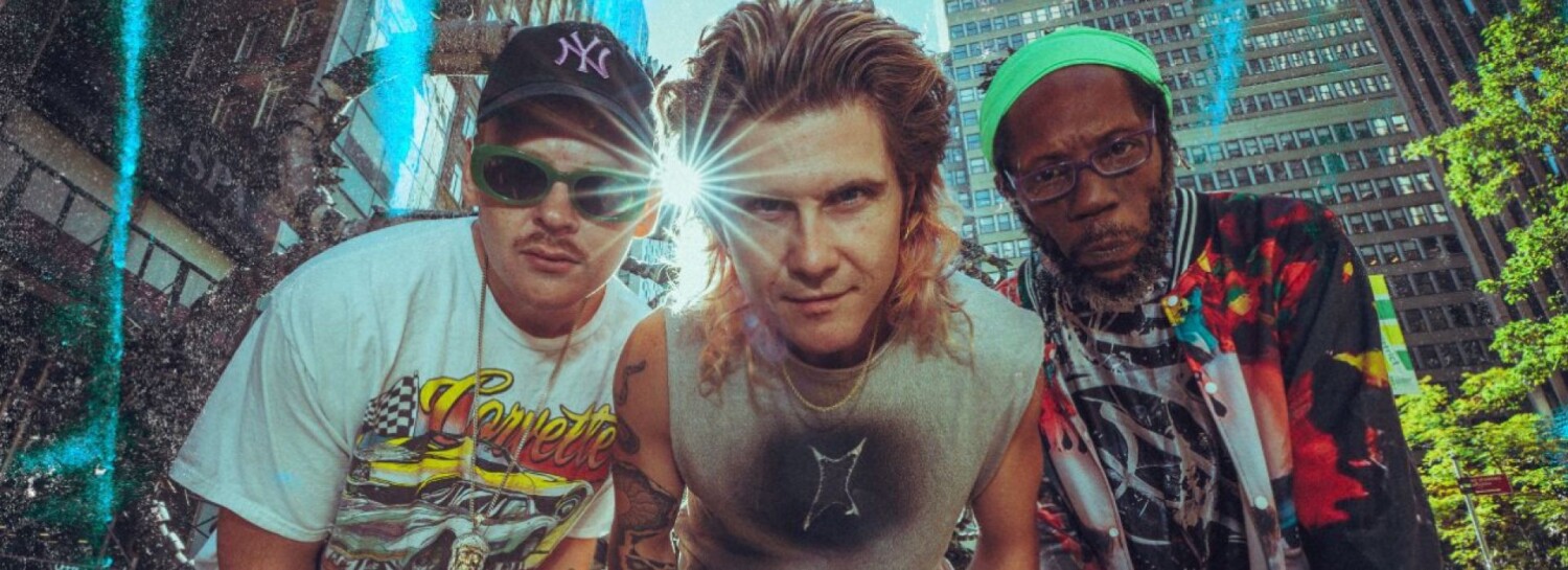 Too Many Zooz