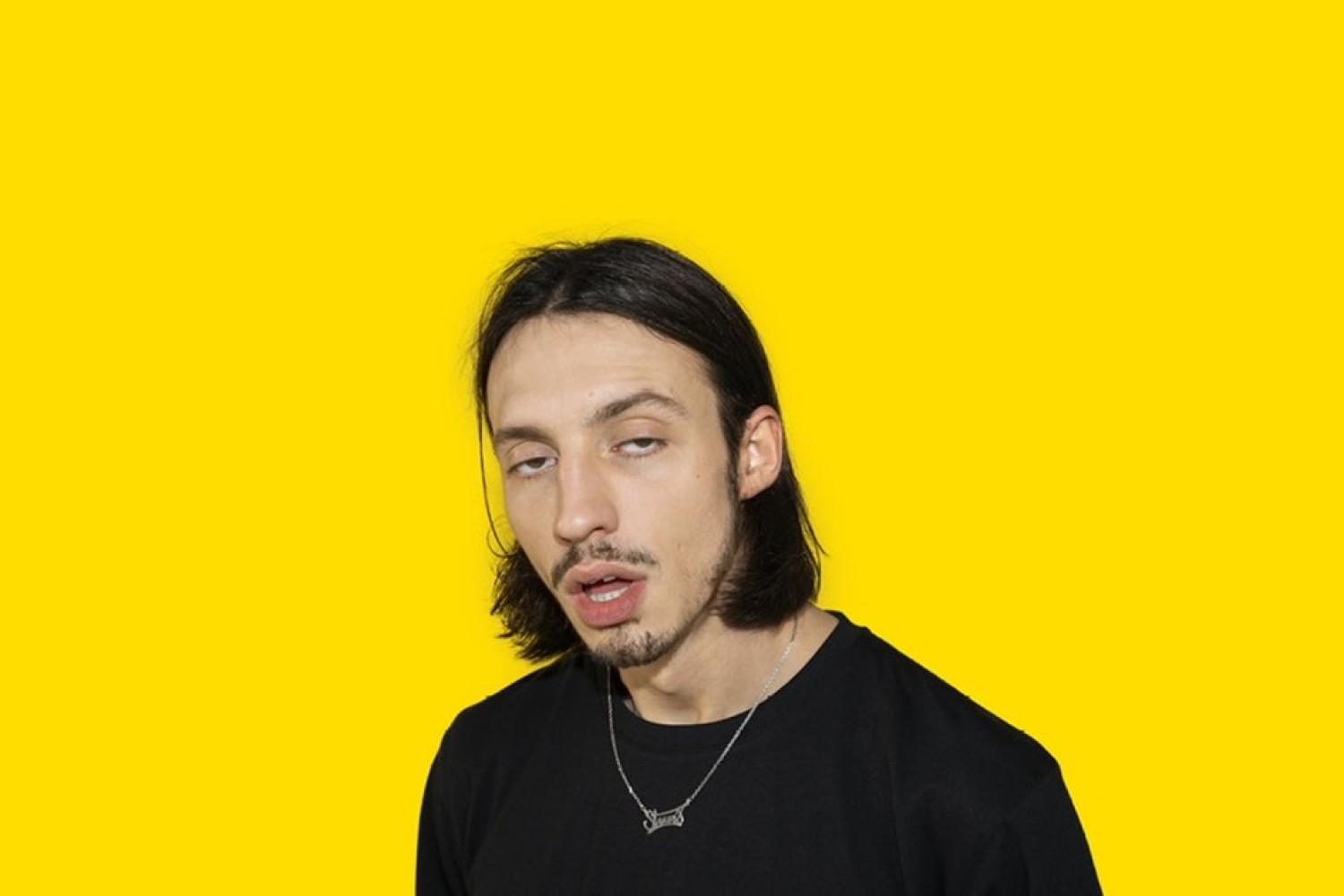 Image de l'artiste