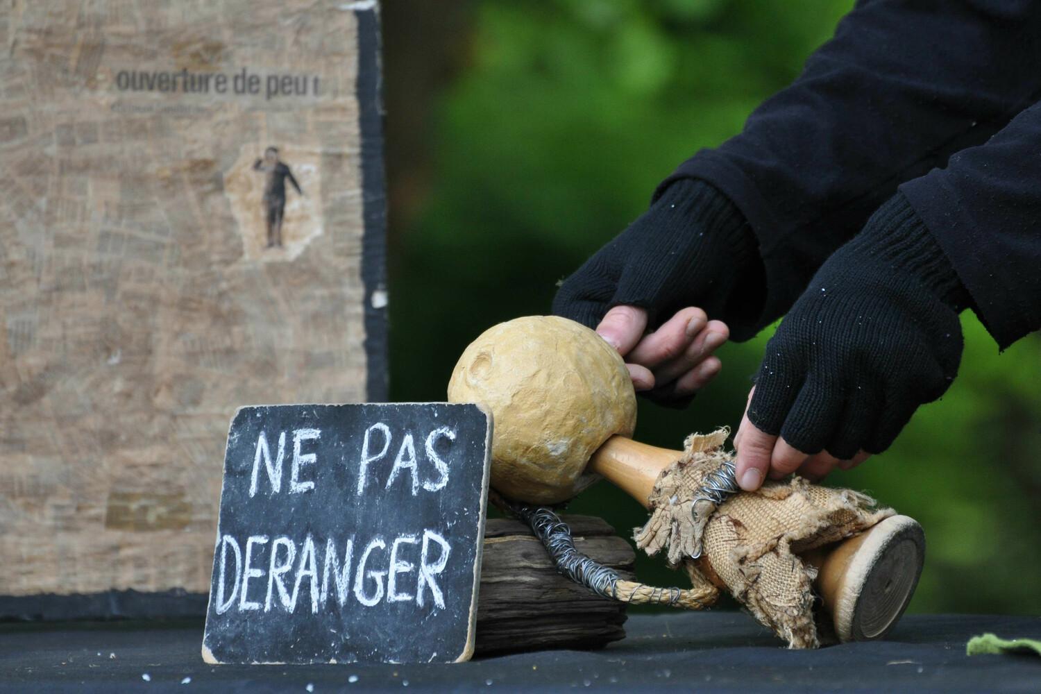 Image de l'artiste