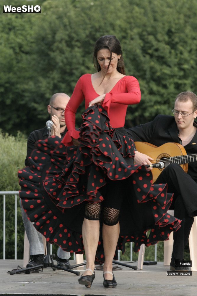 7/35 photos du spectacle Plazuela