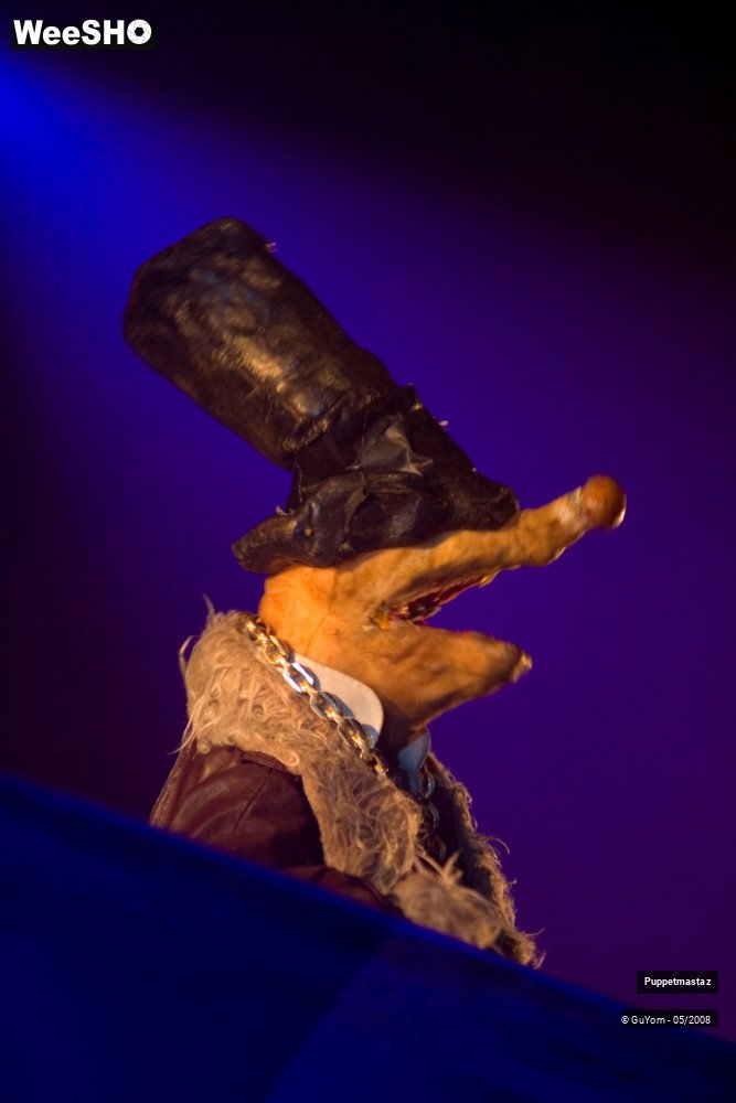 3/38 photos du spectacle Puppetmastaz