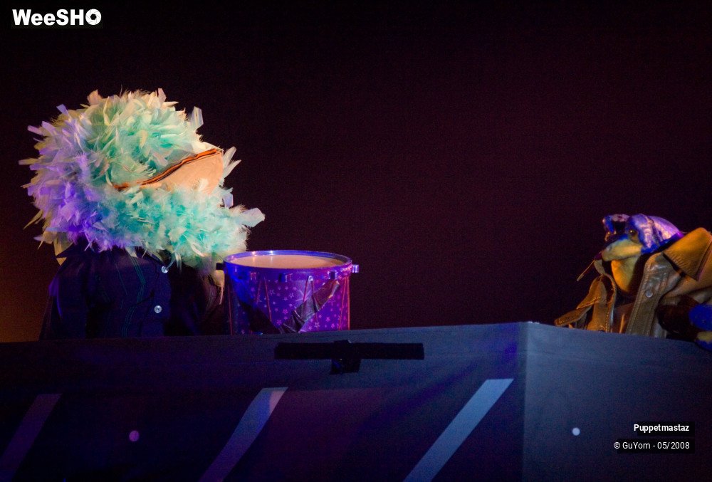 14/38 photos du spectacle Puppetmastaz