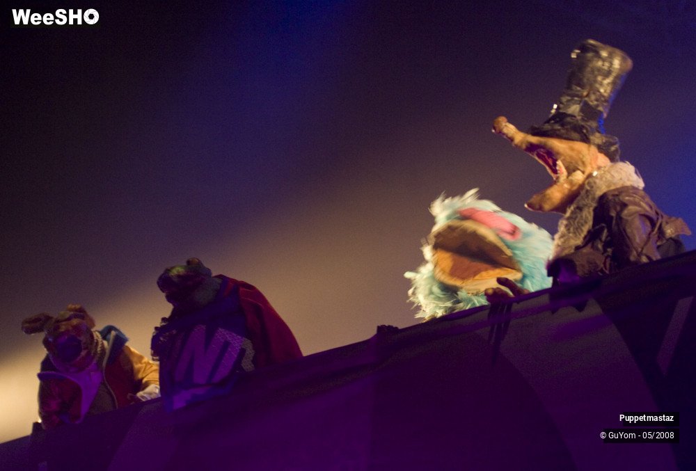 21/38 photos du spectacle Puppetmastaz