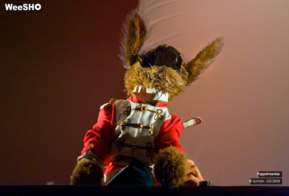 28/38 photos du spectacle Puppetmastaz