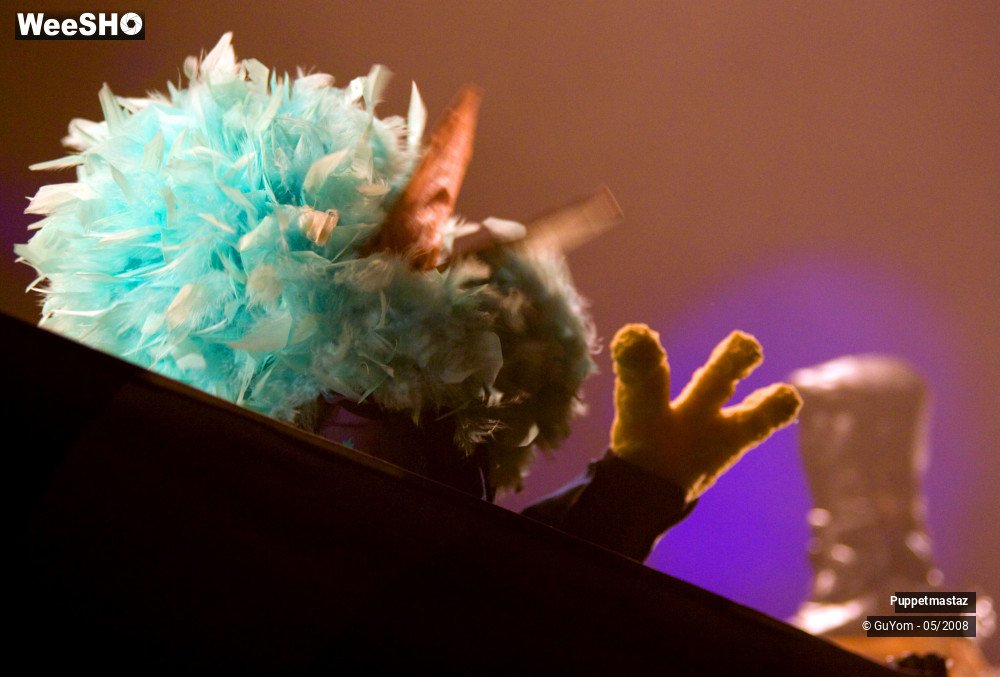 29/38 photos du spectacle Puppetmastaz