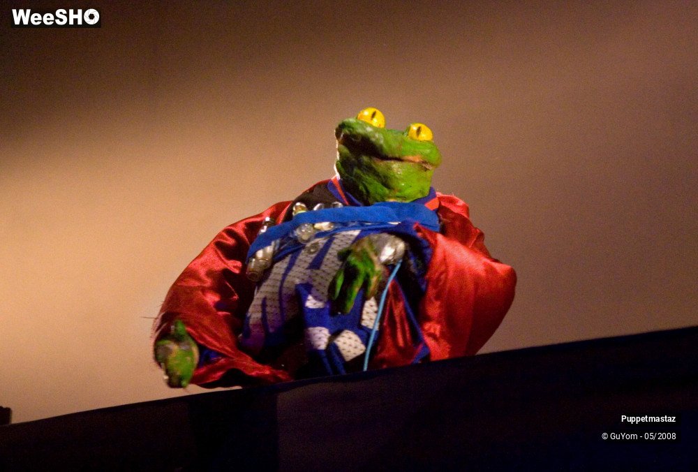 35/38 photos du spectacle Puppetmastaz