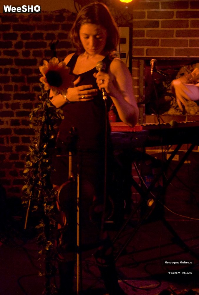 2/41 photos du spectacle Oestrogena Orchestra