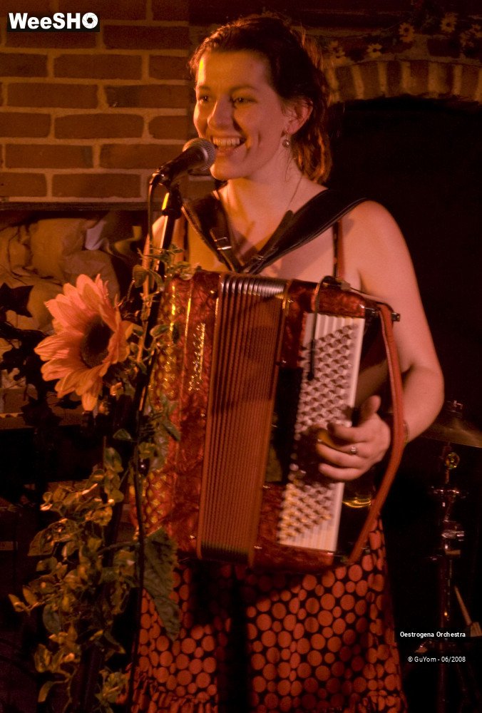 3/41 photos du spectacle Oestrogena Orchestra