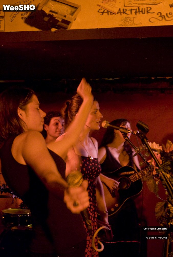4/41 photos du spectacle Oestrogena Orchestra