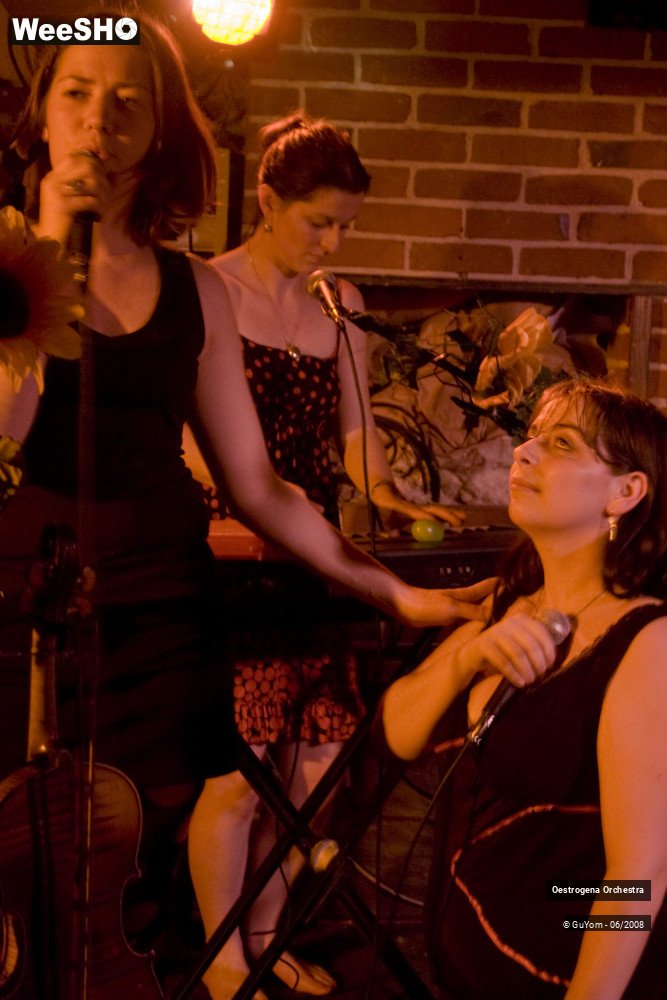 5/41 photos du spectacle Oestrogena Orchestra