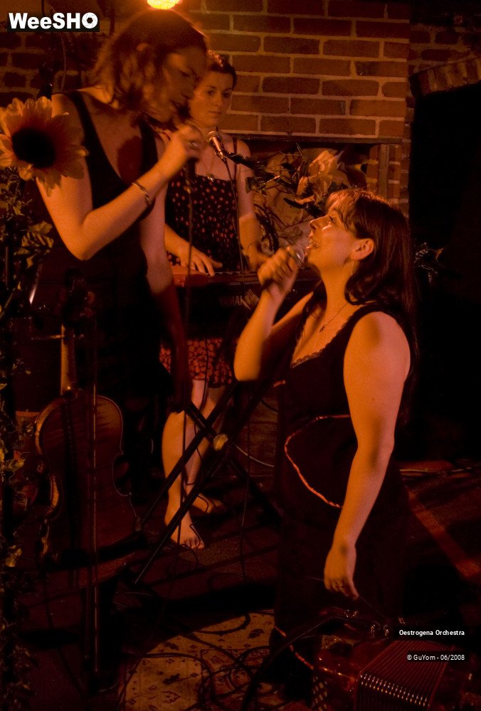 7/41 photos du spectacle Oestrogena Orchestra