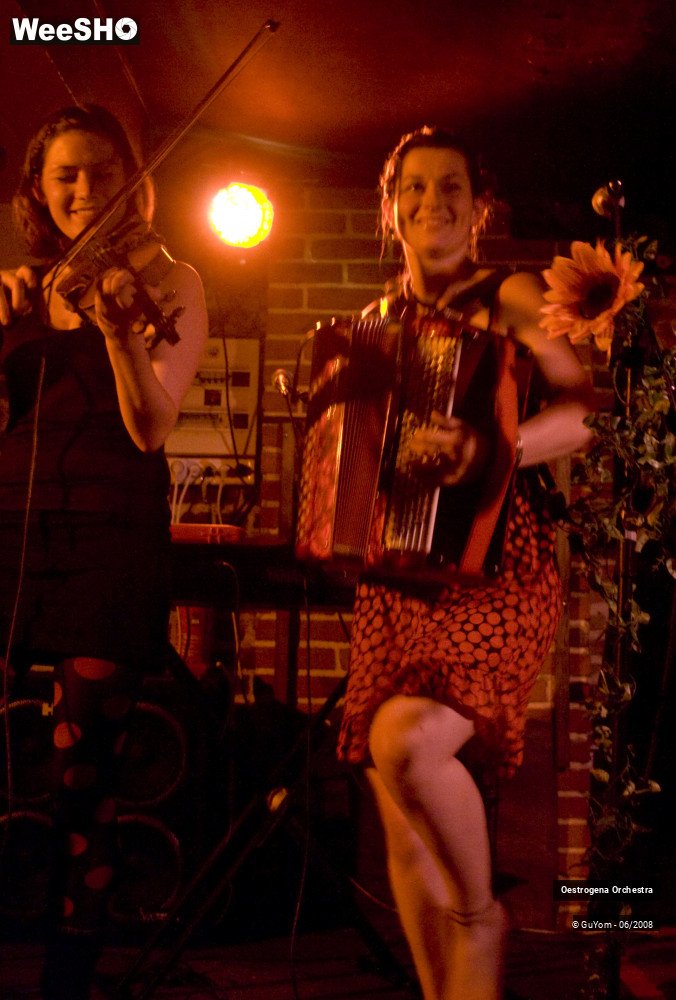 8/41 photos du spectacle Oestrogena Orchestra