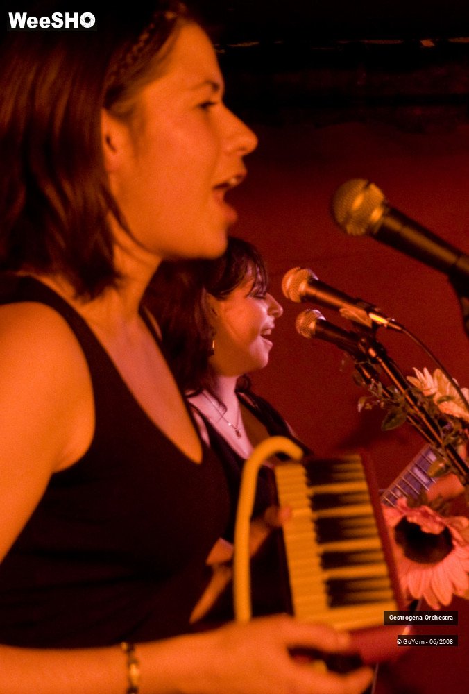 9/41 photos du spectacle Oestrogena Orchestra