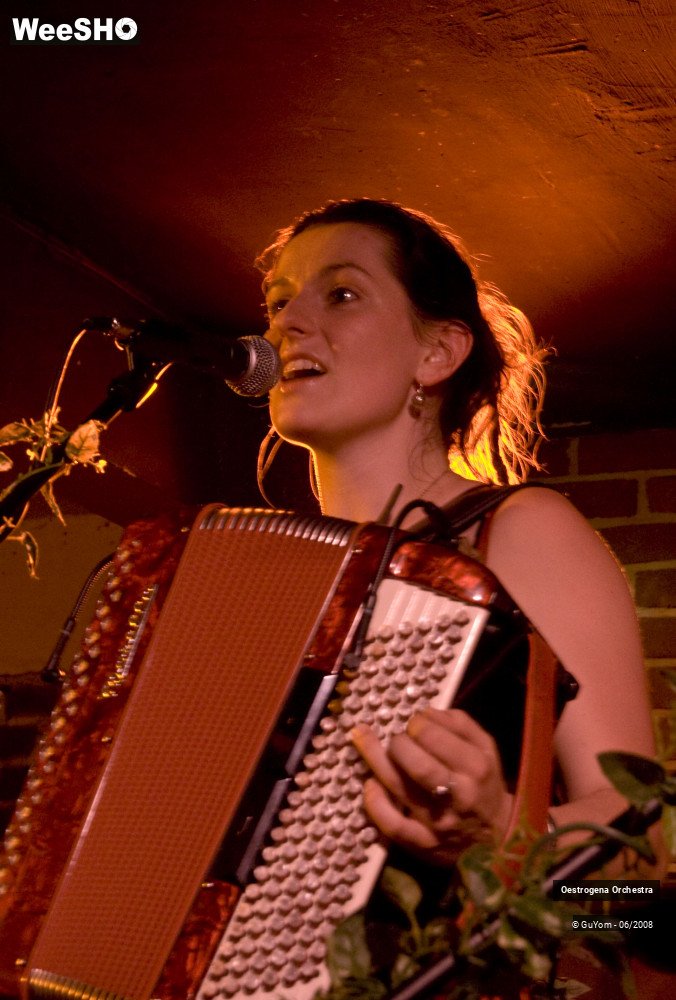 10/41 photos du spectacle Oestrogena Orchestra
