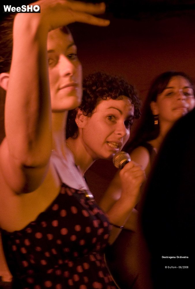 11/41 photos du spectacle Oestrogena Orchestra