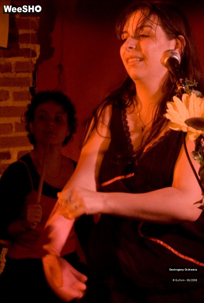 12/41 photos du spectacle Oestrogena Orchestra
