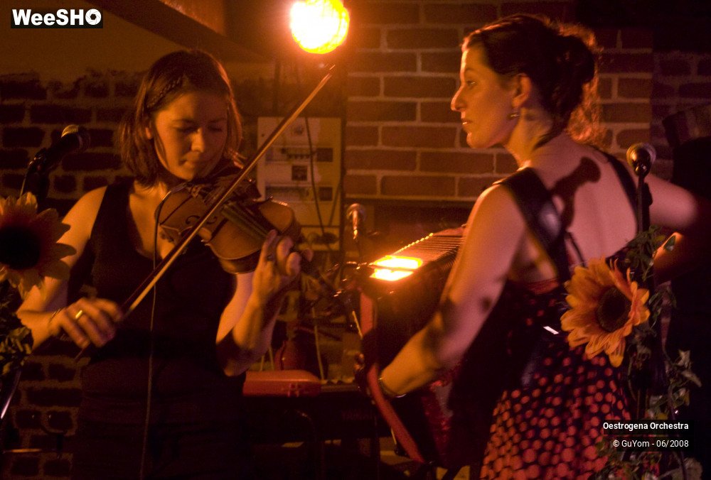 13/41 photos du spectacle Oestrogena Orchestra