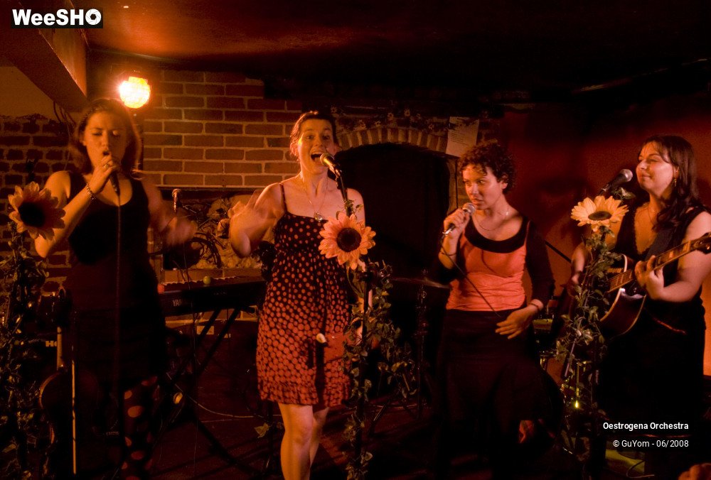 14/41 photos du spectacle Oestrogena Orchestra