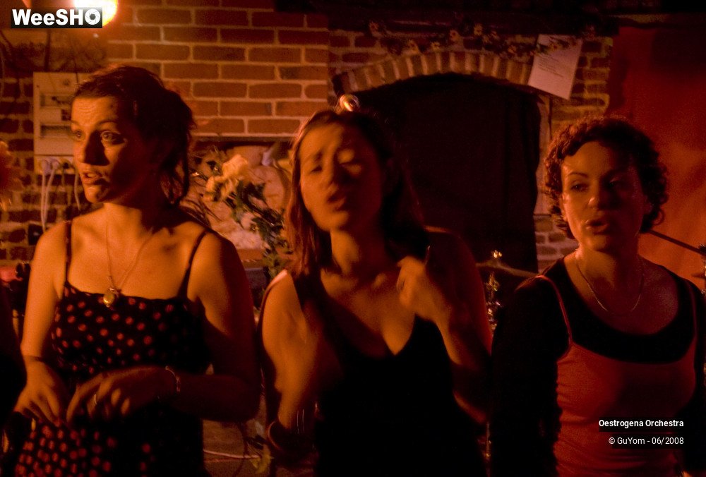 15/41 photos du spectacle Oestrogena Orchestra