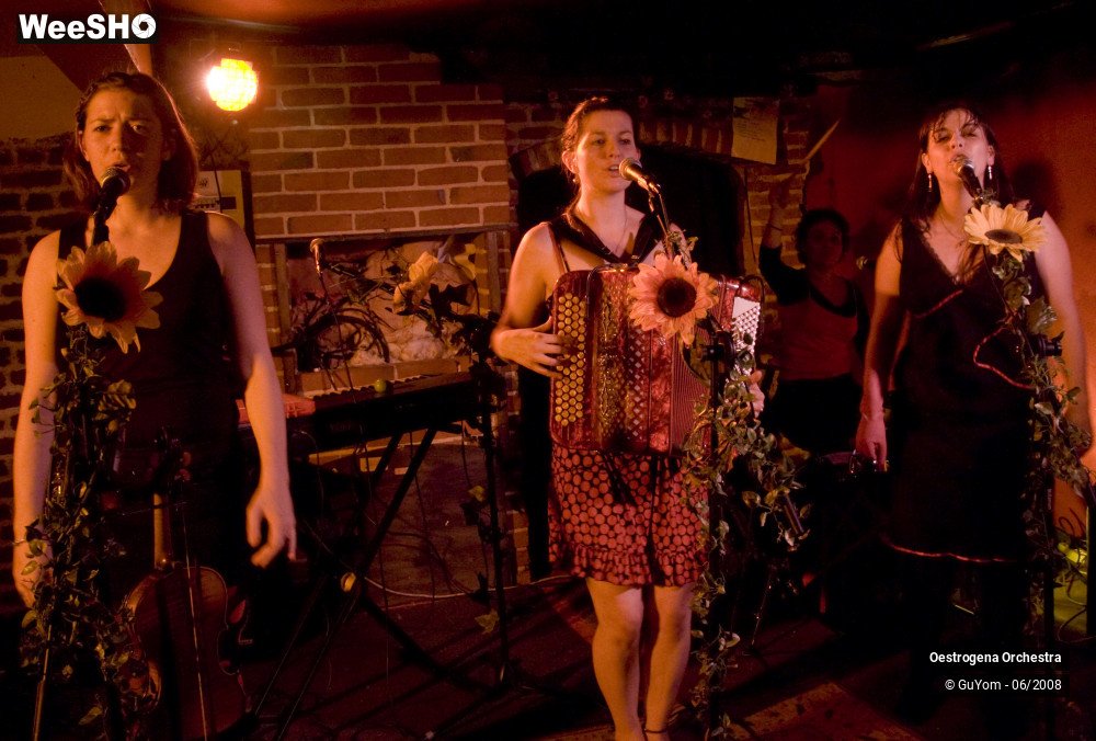 16/41 photos du spectacle Oestrogena Orchestra