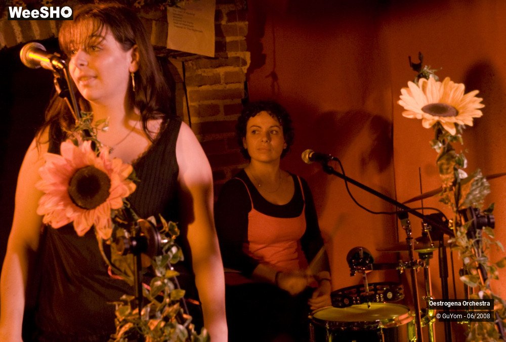 17/41 photos du spectacle Oestrogena Orchestra