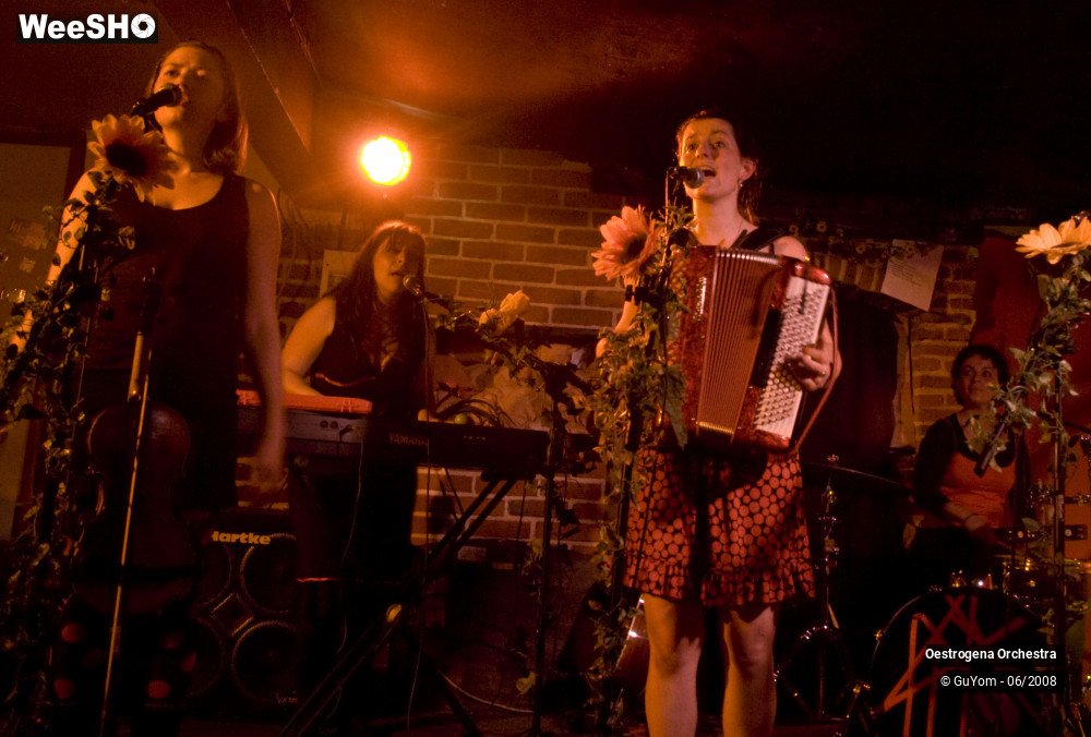 18/41 photos du spectacle Oestrogena Orchestra