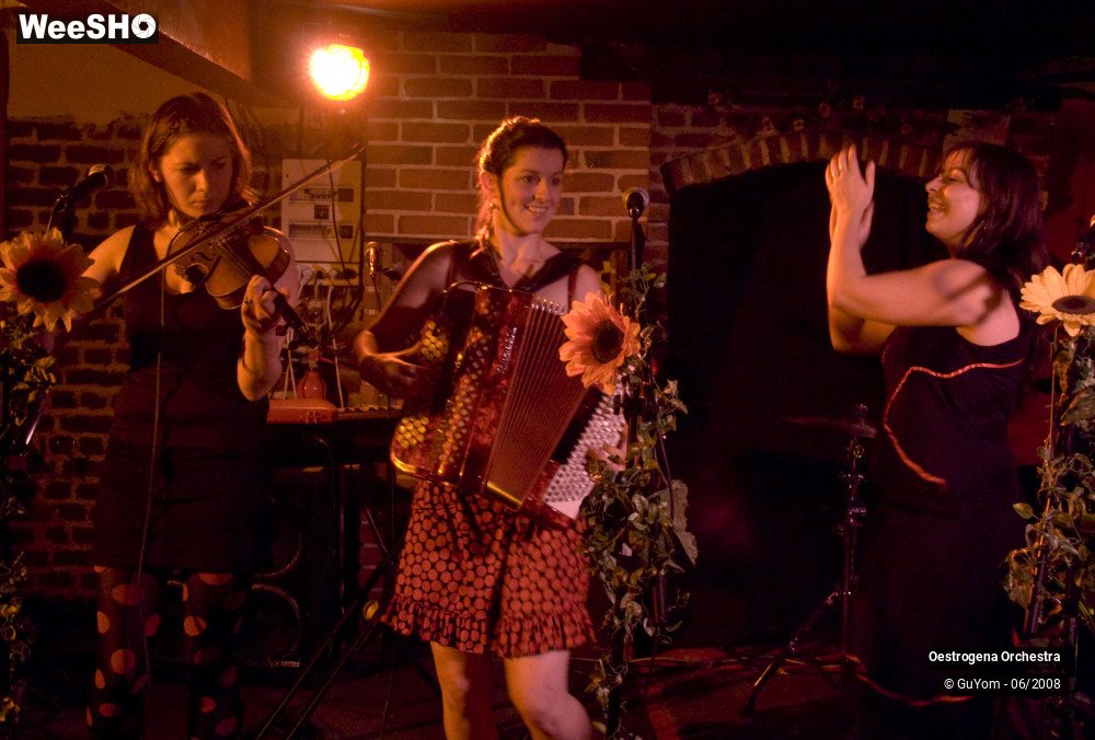 19/41 photos du spectacle Oestrogena Orchestra