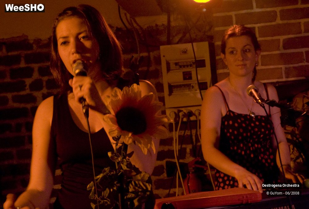 20/41 photos du spectacle Oestrogena Orchestra