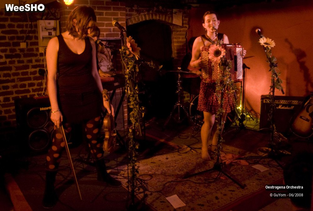 22/41 photos du spectacle Oestrogena Orchestra