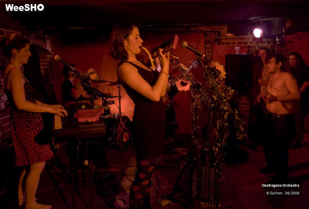 23/41 photos du spectacle Oestrogena Orchestra