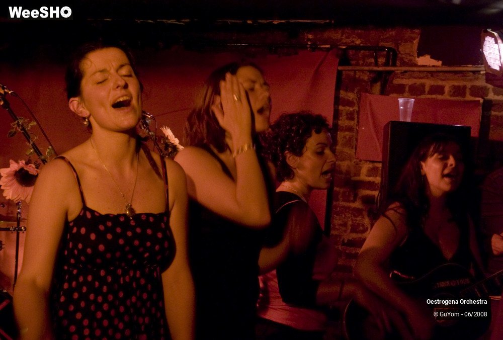 24/41 photos du spectacle Oestrogena Orchestra