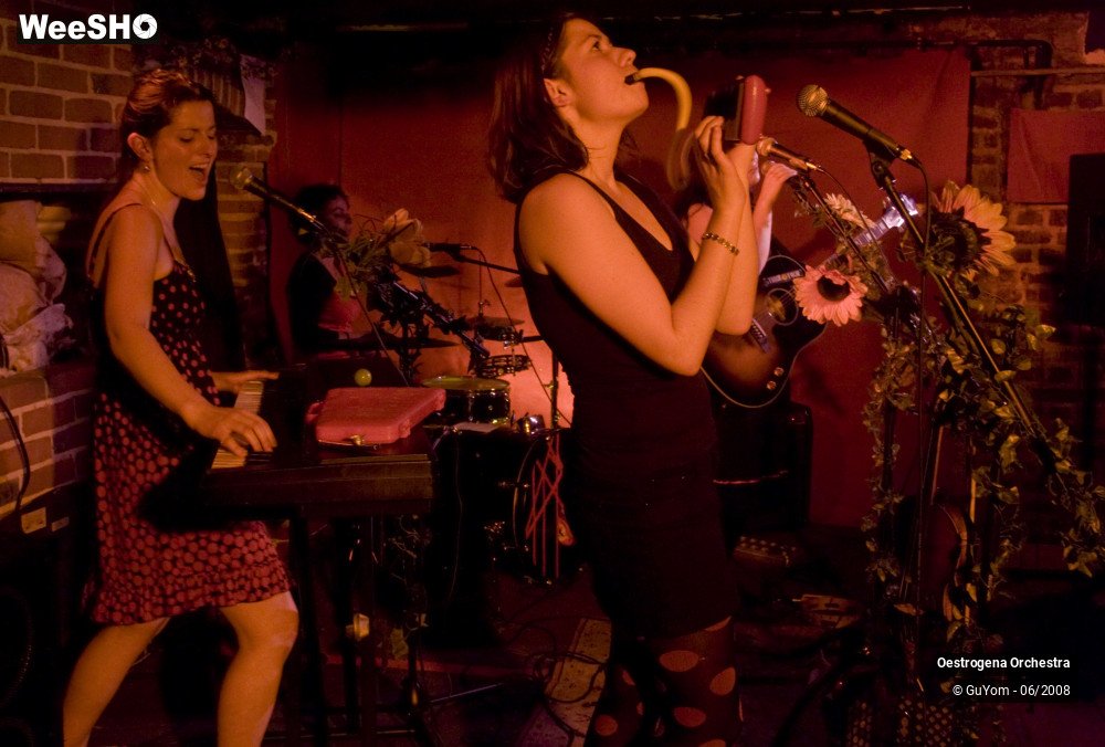 25/41 photos du spectacle Oestrogena Orchestra