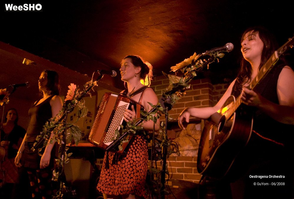 27/41 photos du spectacle Oestrogena Orchestra