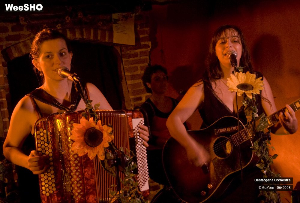 28/41 photos du spectacle Oestrogena Orchestra