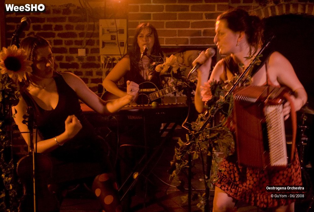 29/41 photos du spectacle Oestrogena Orchestra