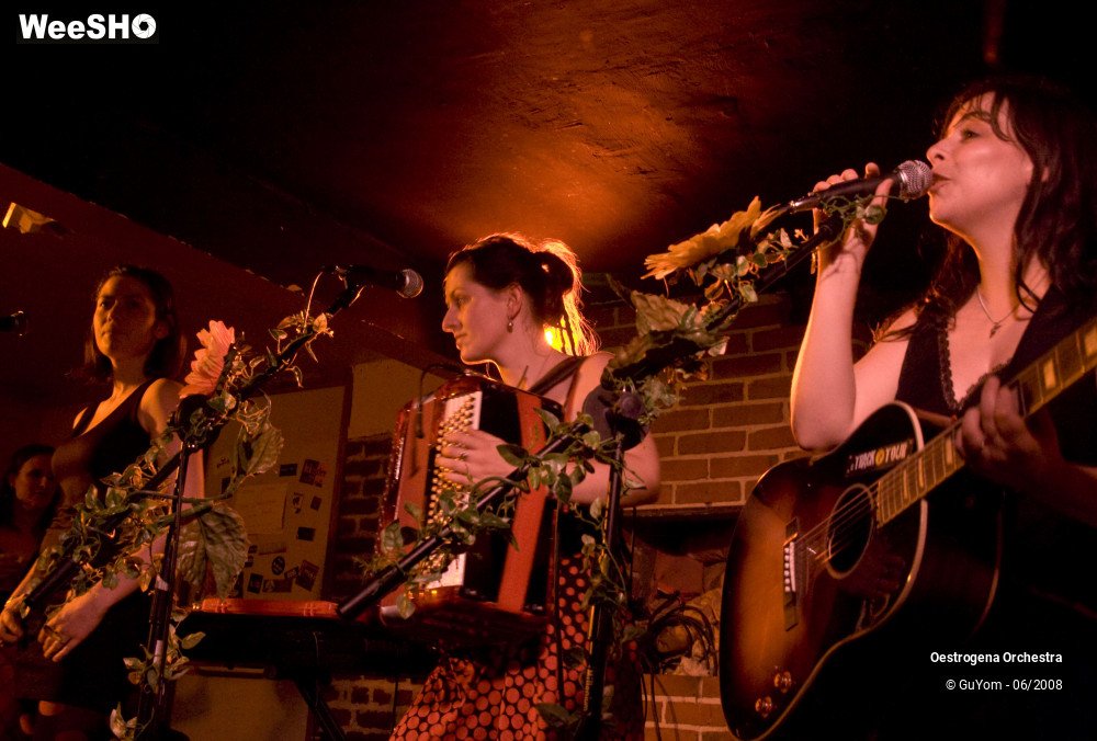 30/41 photos du spectacle Oestrogena Orchestra