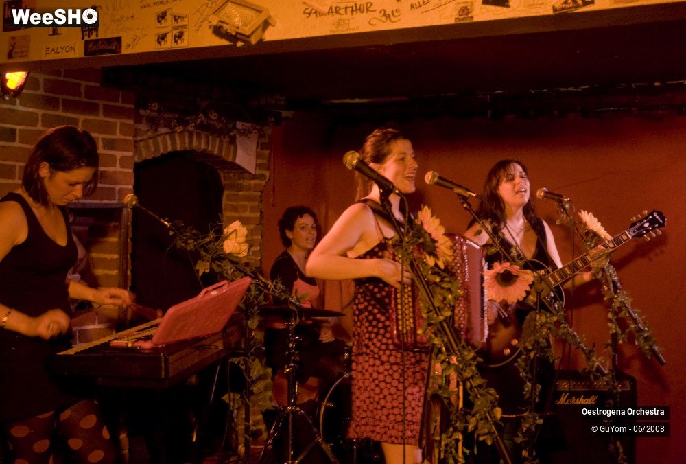 31/41 photos du spectacle Oestrogena Orchestra