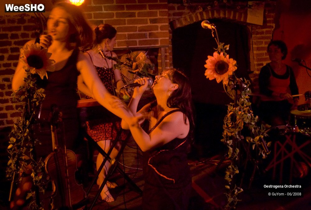32/41 photos du spectacle Oestrogena Orchestra