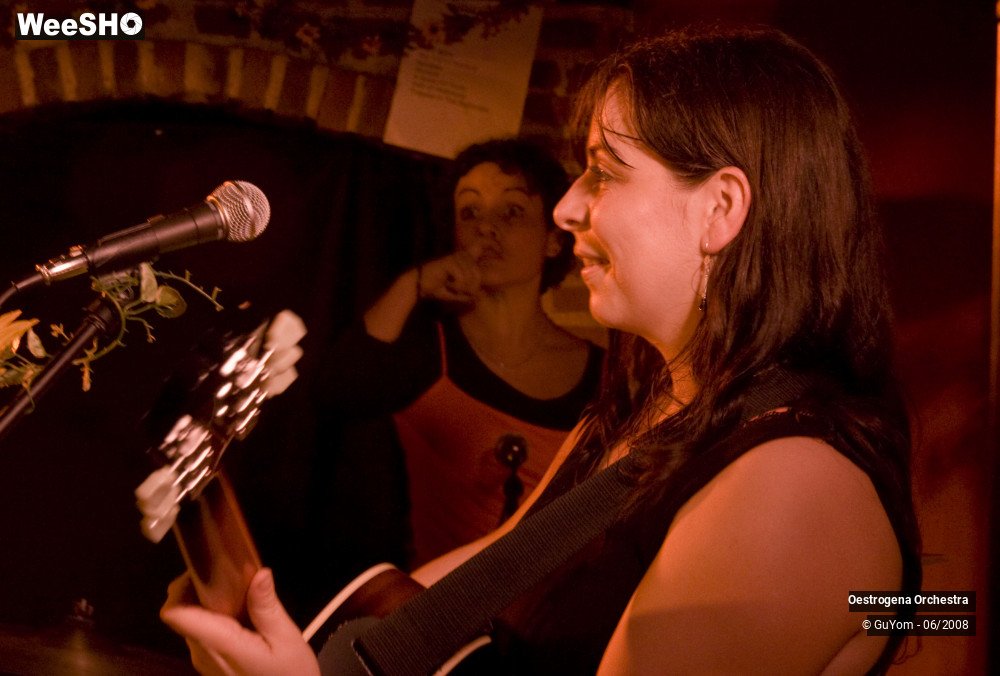 33/41 photos du spectacle Oestrogena Orchestra