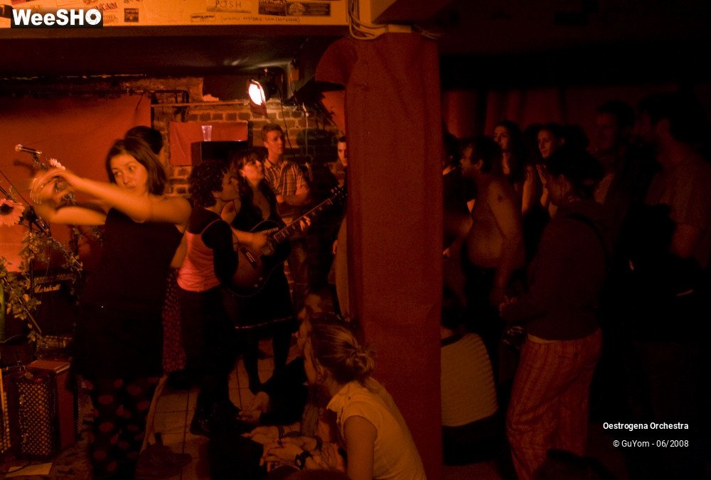 34/41 photos du spectacle Oestrogena Orchestra