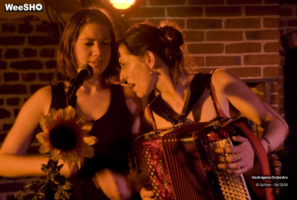 35/41 photos du spectacle Oestrogena Orchestra