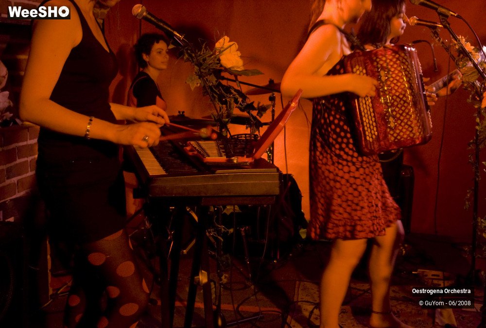 36/41 photos du spectacle Oestrogena Orchestra