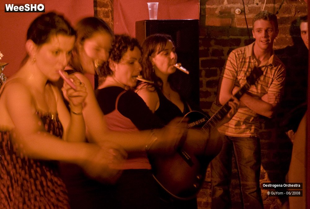 37/41 photos du spectacle Oestrogena Orchestra