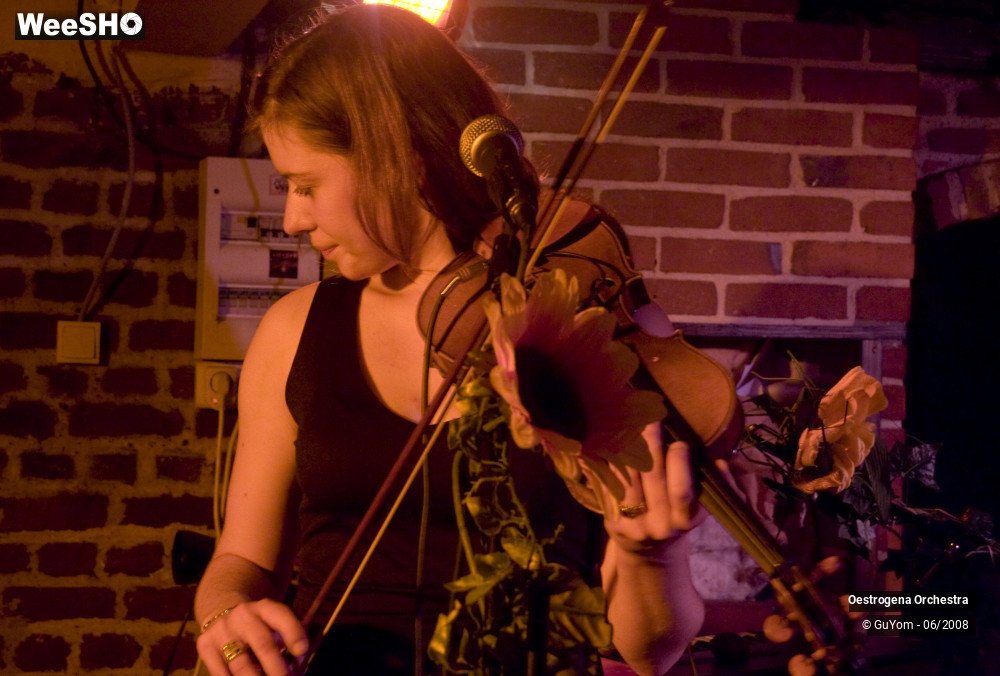 38/41 photos du spectacle Oestrogena Orchestra