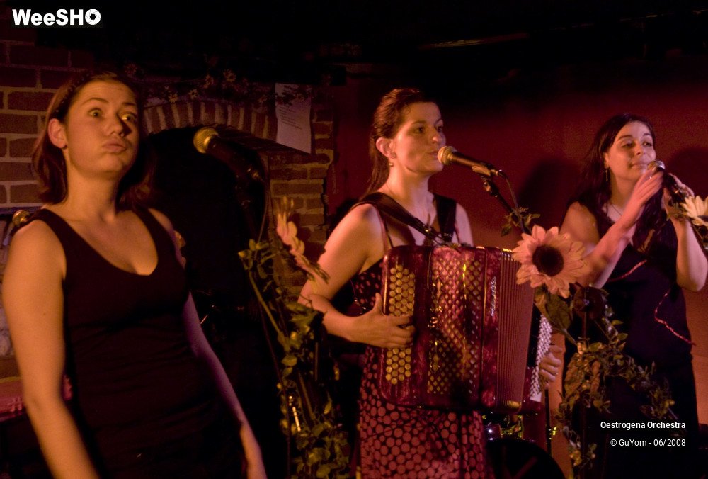 39/41 photos du spectacle Oestrogena Orchestra