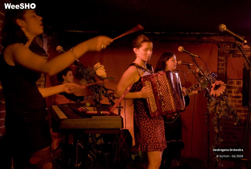 41/41 photos du spectacle Oestrogena Orchestra