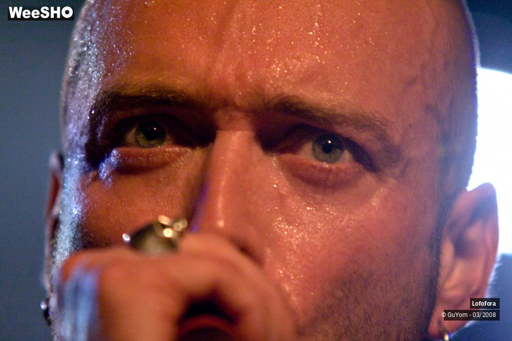 30/36 photos du spectacle Lofofora