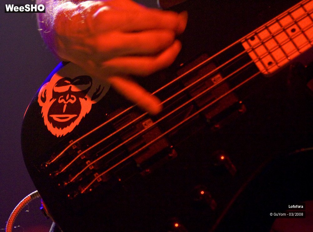 33/36 photos du spectacle Lofofora